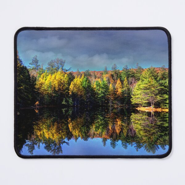 Item preview, Painted Beaver Pond on Orris Road designed and sold by Wayne King.