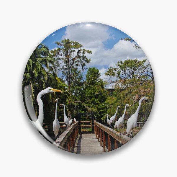 Item preview, Egret Boardwalk designed and sold by Debbie Oppermann.