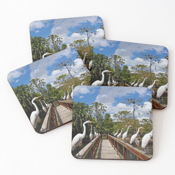 Item preview, Egret Boardwalk designed and sold by Debbie Oppermann.