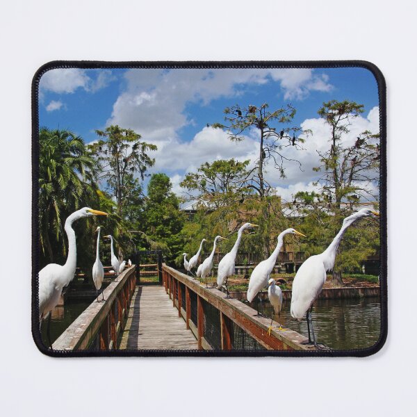 Item preview, Egret Boardwalk designed and sold by Debbie Oppermann.