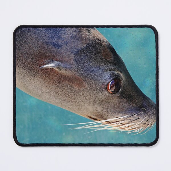 Item preview, Whiskers designed and sold by Debbie Oppermann.