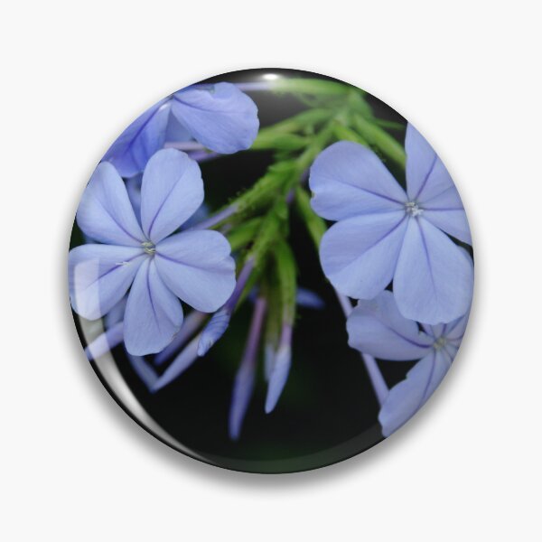 Item preview, Delightful Plumbago designed and sold by Debbie Oppermann.