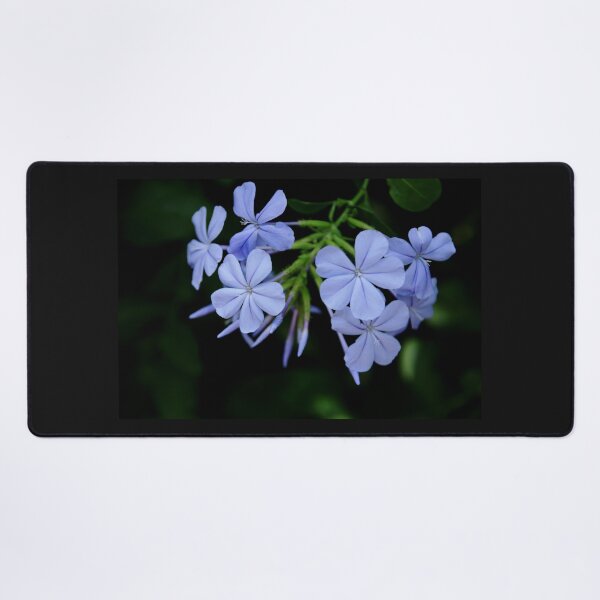 Item preview, Delightful Plumbago designed and sold by Debbie Oppermann.