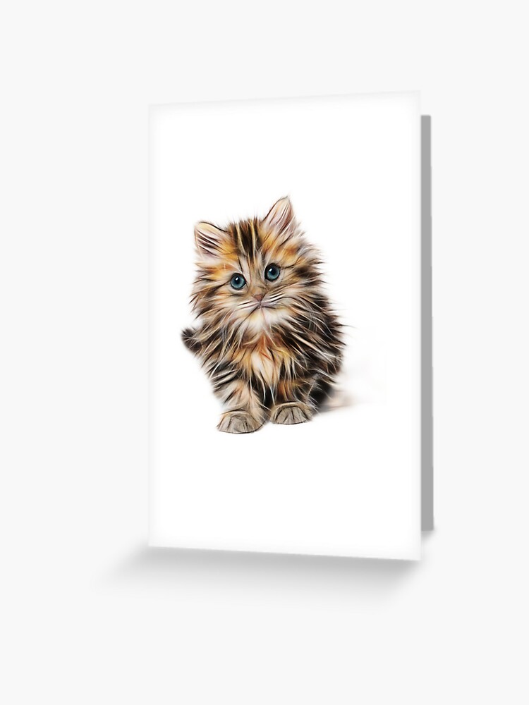 Birthday Card for the cat Person So adorable Kittens Wish Cards NEW