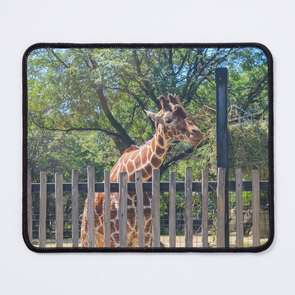 Item preview, Brookfield Zoo Giraffes 01 designed and sold by Thomas Halouva.
