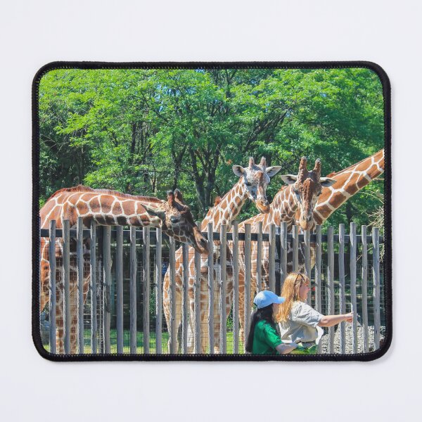 Item preview, Brookfield Zoo Giraffes 03 designed and sold by Thomas Halouva.