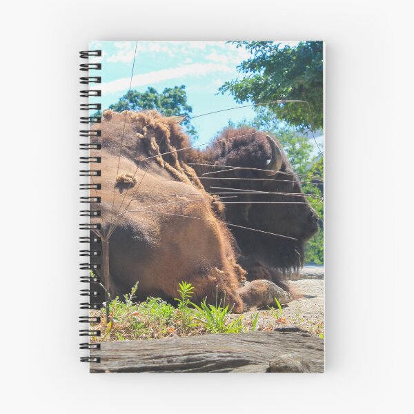 Item preview, Brookfield Zoo Buffalo designed and sold by Thomas Halouva.