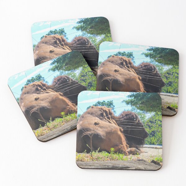 Item preview, Brookfield Zoo Buffalo designed and sold by Thomas Halouva.