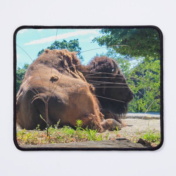 Item preview, Brookfield Zoo Buffalo designed and sold by Thomas Halouva.