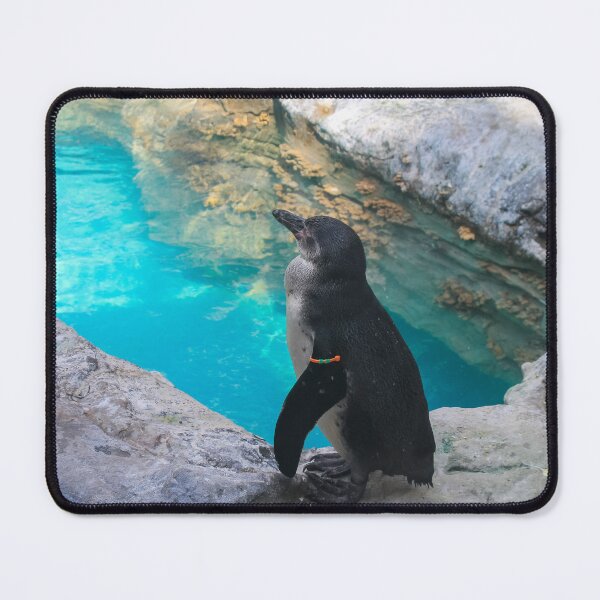 Item preview, Brookfield Zoo Penguin designed and sold by Thomas Halouva.