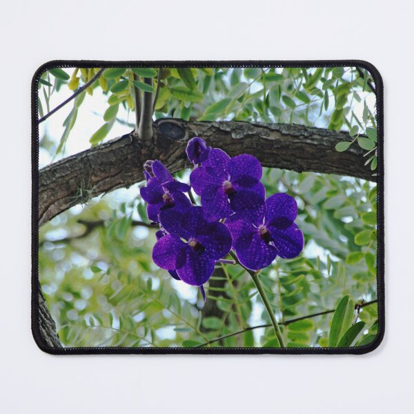 Item preview, Vanda In Purple designed and sold by Debbie Oppermann.