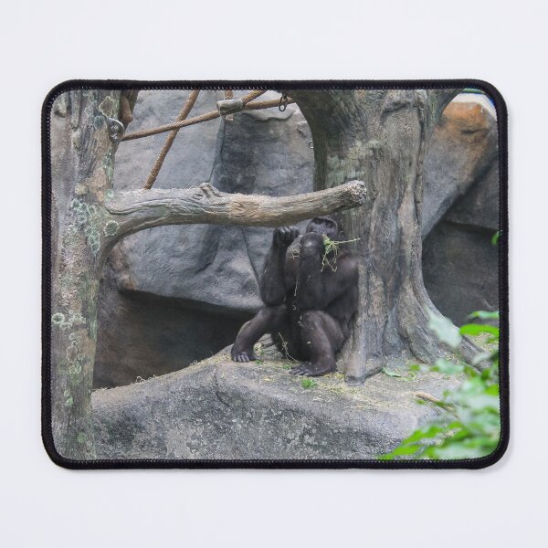 Item preview, Brookfield Zoo Gorilla designed and sold by Thomas Halouva.
