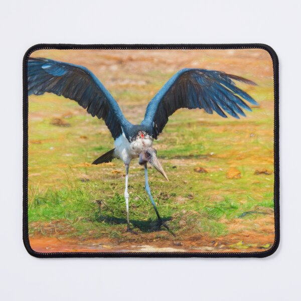 Item preview, Maribou Stork designed and sold by Kay Brewer.