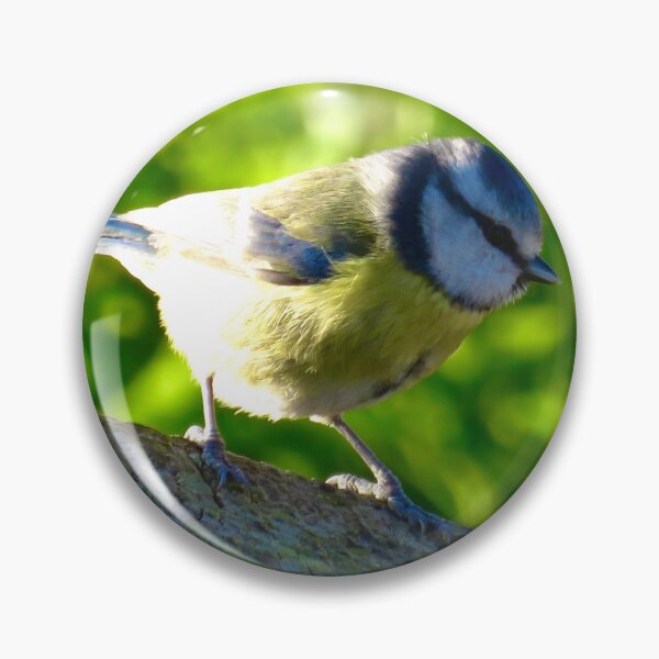 Item preview, Blue tit  designed and sold by Ribster13.