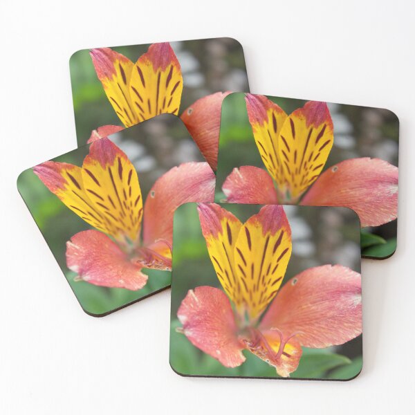 Item preview, Tropical Flower 1 designed and sold by jorgusart.