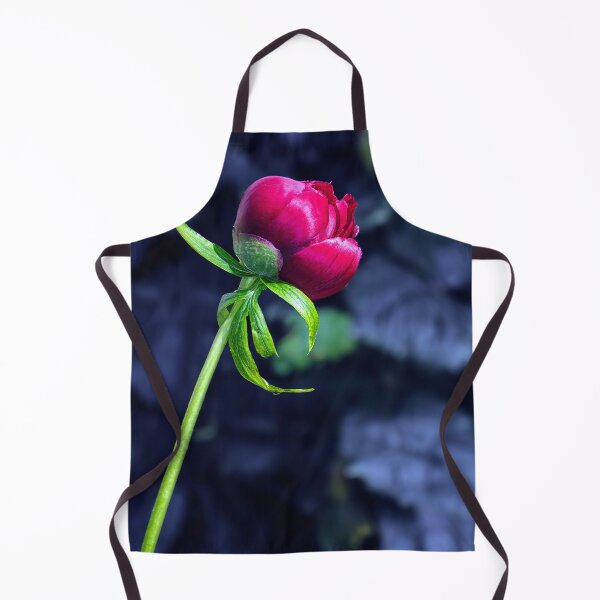 Item preview, single red peony rose on velvet designed and sold by Tom McPherson Photography.