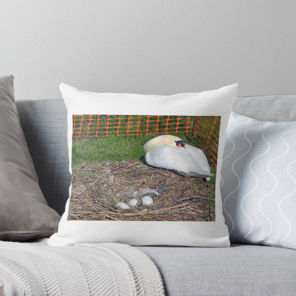 Item preview, Protection for Swan and her eggs....... designed and sold by lynn carter.