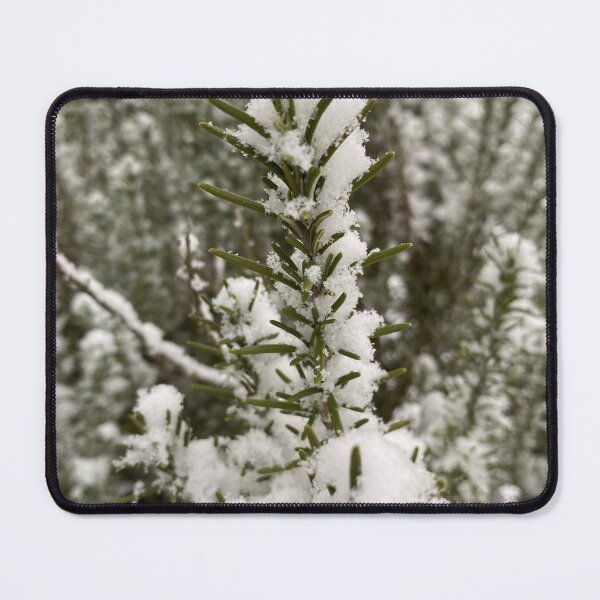 Item preview, Green Shrub Surviving in the Snow designed and sold by CJRPics.