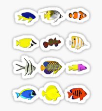 reef fish Sticker