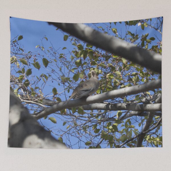Item preview, A Zenaida macroura in a tree designed and sold by John Jacob Jingleheimer Schmidt.