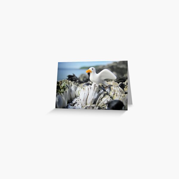 Sea-stuff Greeting Card