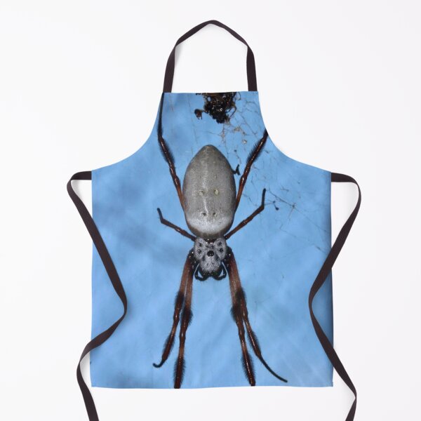 Item preview, Golden orb weaver spider (Trichonephila edulis) designed and sold by Artbychb.