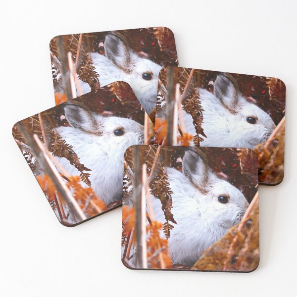 Item preview, Snowshoe Hare designed and sold by zmphotography.
