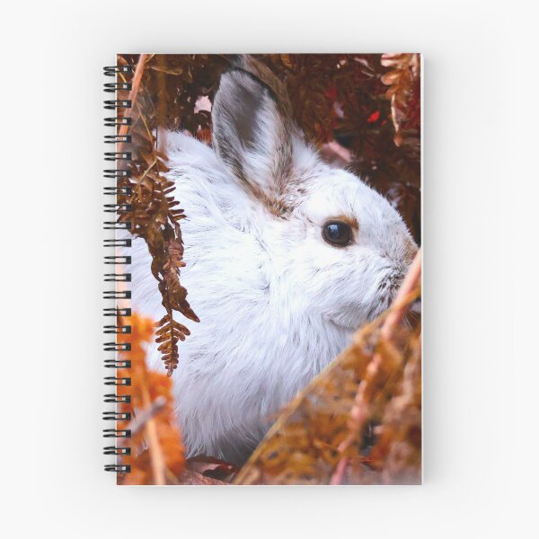 Item preview, Snowshoe Hare designed and sold by zmphotography.