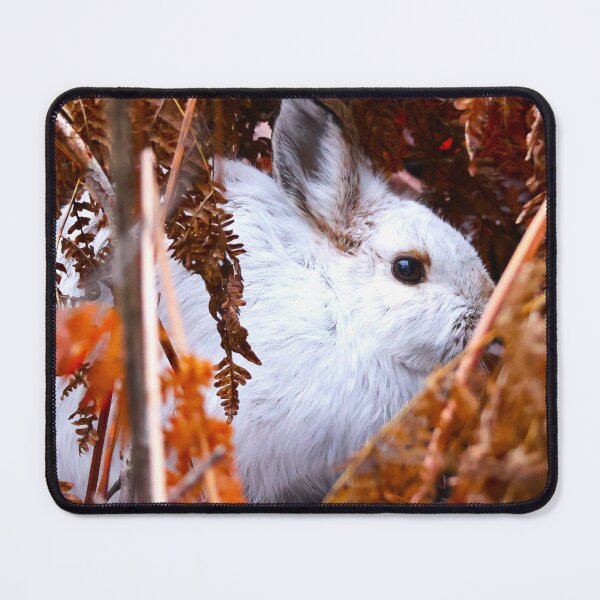 Item preview, Snowshoe Hare designed and sold by zmphotography.