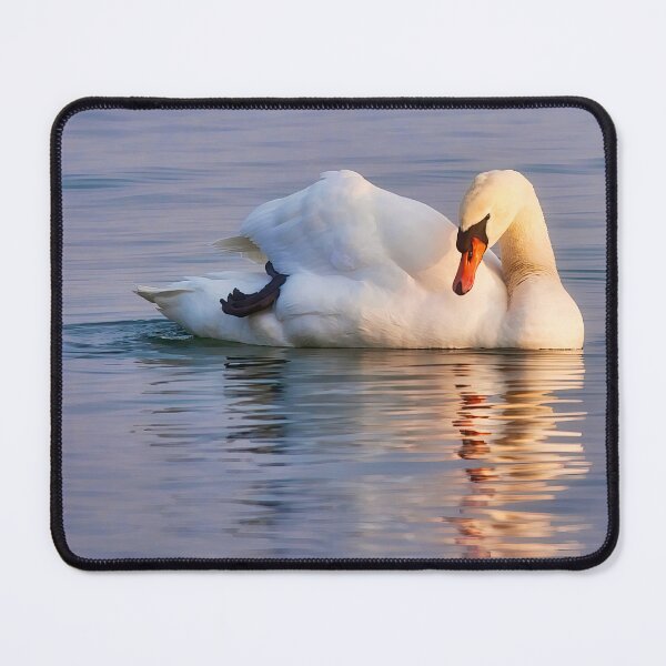 Item preview, Gracious swan relaxing on the lake at twilight designed and sold by Travelways.