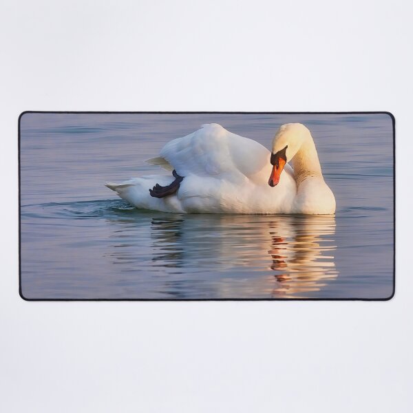 Item preview, Gracious swan relaxing on the lake at twilight designed and sold by Travelways.