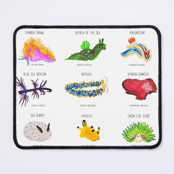 Item preview, Nudibranchs Of the World Watercolor Print designed and sold by lexieaustinart.