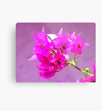 Purple on Purple Metal Print