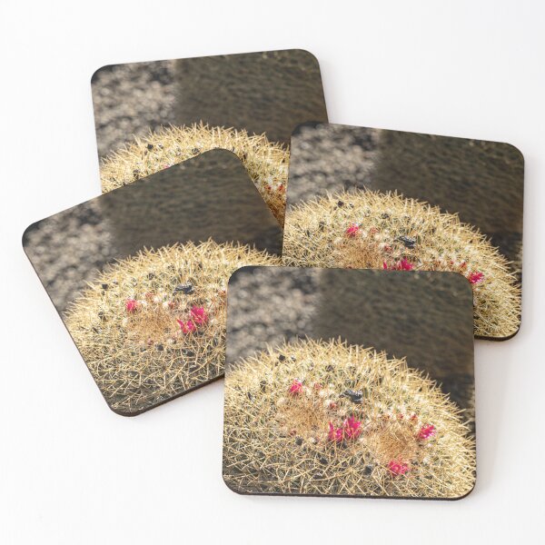 Item preview, Cactus Flowers designed and sold by Marylou Badeaux.