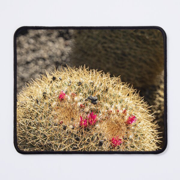 Item preview, Cactus Flowers designed and sold by Marylou Badeaux.