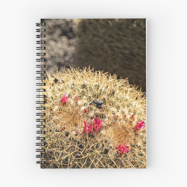 Item preview, Cactus Flowers designed and sold by Marylou Badeaux.