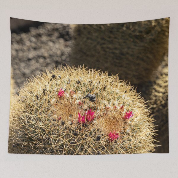 Item preview, Cactus Flowers designed and sold by Marylou Badeaux.