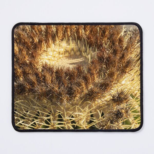 Item preview, Prickly Cactus designed and sold by Marylou Badeaux.