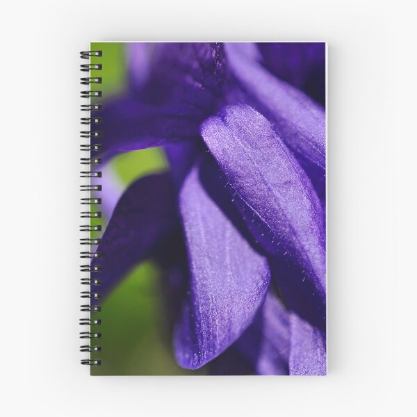 Artikelvorschau, Samtroben in Royal Purple - Botanische Fotografie - Original abstrakte Kunst entworfen und verkauft von SageFolio.