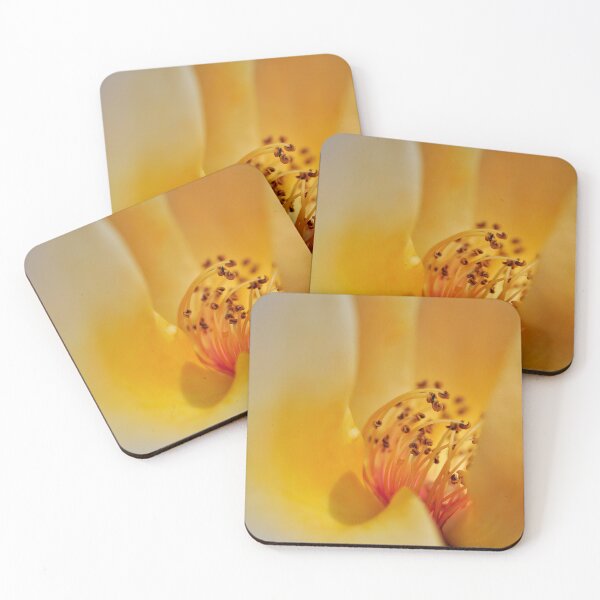 Item preview, Canyon Mirage in Sherbet Yellow and Orange - Botanical Photography - Original Abstract Fine Art designed and sold by SageFolio.