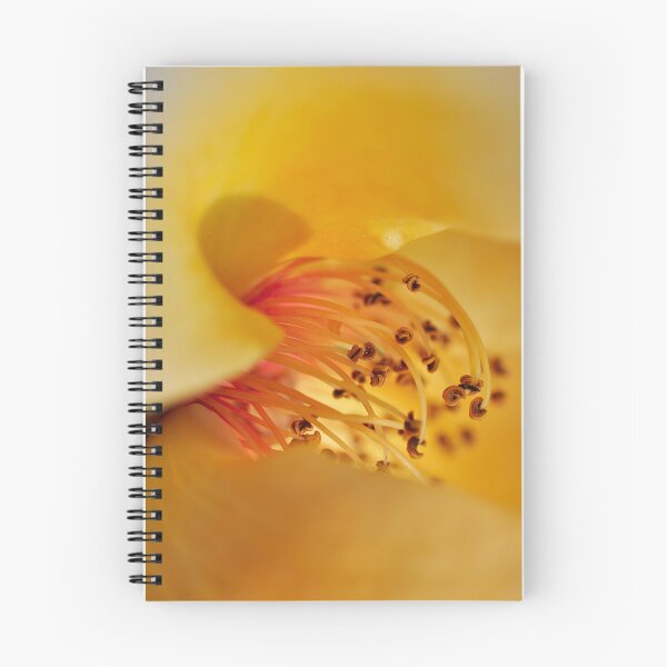 Item preview, Canyon Mirage in Sherbet Yellow and Orange - Botanical Photography - Original Abstract Fine Art designed and sold by SageFolio.