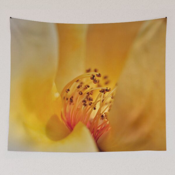 Item preview, Canyon Mirage in Sherbet Yellow and Orange - Botanical Photography - Original Abstract Fine Art designed and sold by SageFolio.