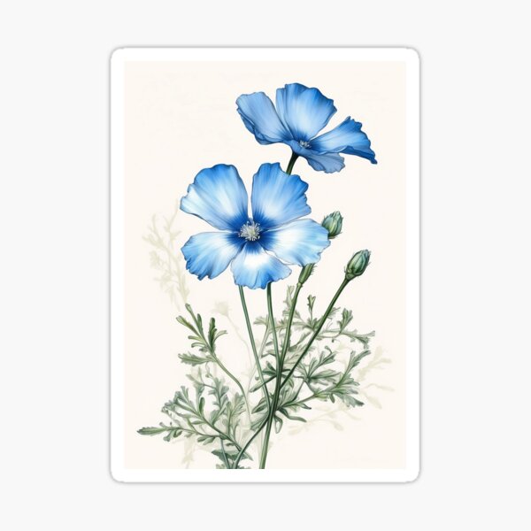 Item preview, Nemophila flower designed and sold by Planthem.