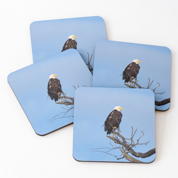 Item preview, A Bald Eagle Perching In a Tree designed and sold by BackyardBirder.