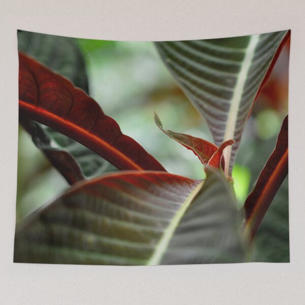 Item preview, Four Corners in Bright Red and Forest Green - Botanical Photography - Original Abstract Fine Art designed and sold by SageFolio.