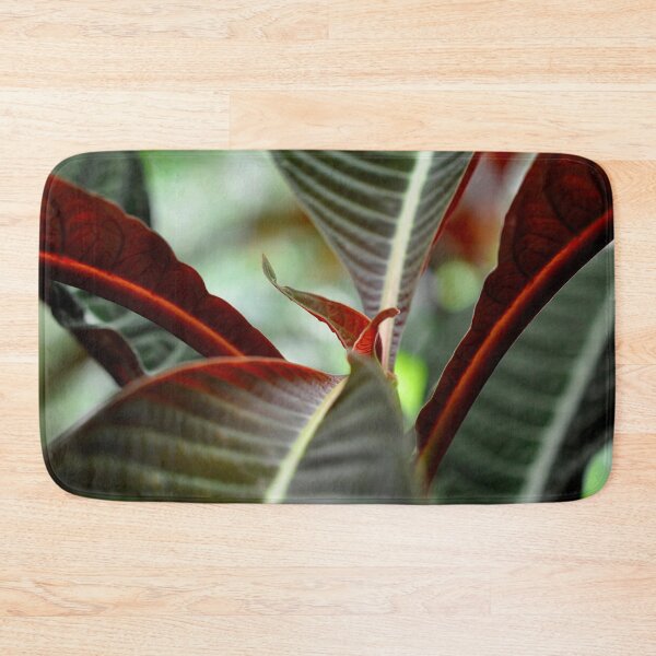 Item preview, Four Corners in Bright Red and Forest Green - Botanical Photography - Original Abstract Fine Art designed and sold by SageFolio.