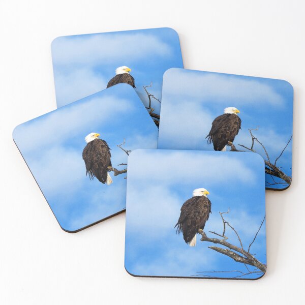 Item preview, A Bald Eagle Perching In a Tree designed and sold by BackyardBirder.