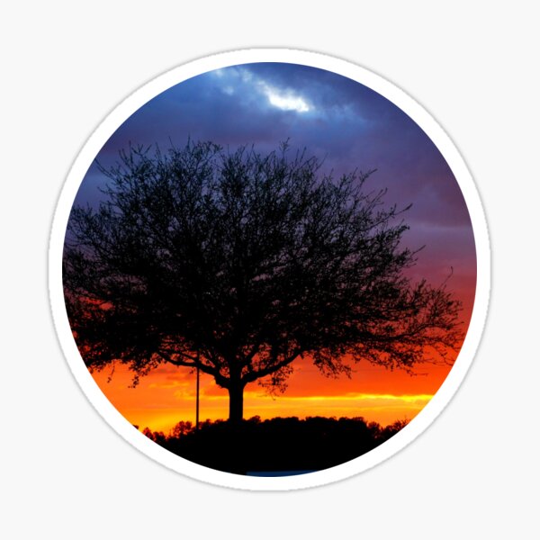 Item preview, Tree At Sunset designed and sold by cope64.