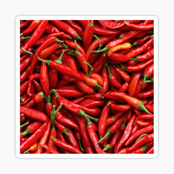 Chili Pepper Sticker