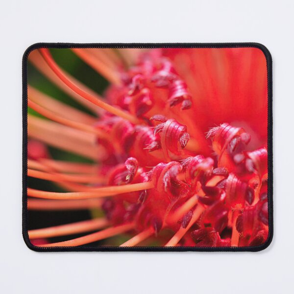 Item preview, Around the Fire in Magenta Pink - Botanical Photography - Original Abstract Fine Art designed and sold by SageFolio.